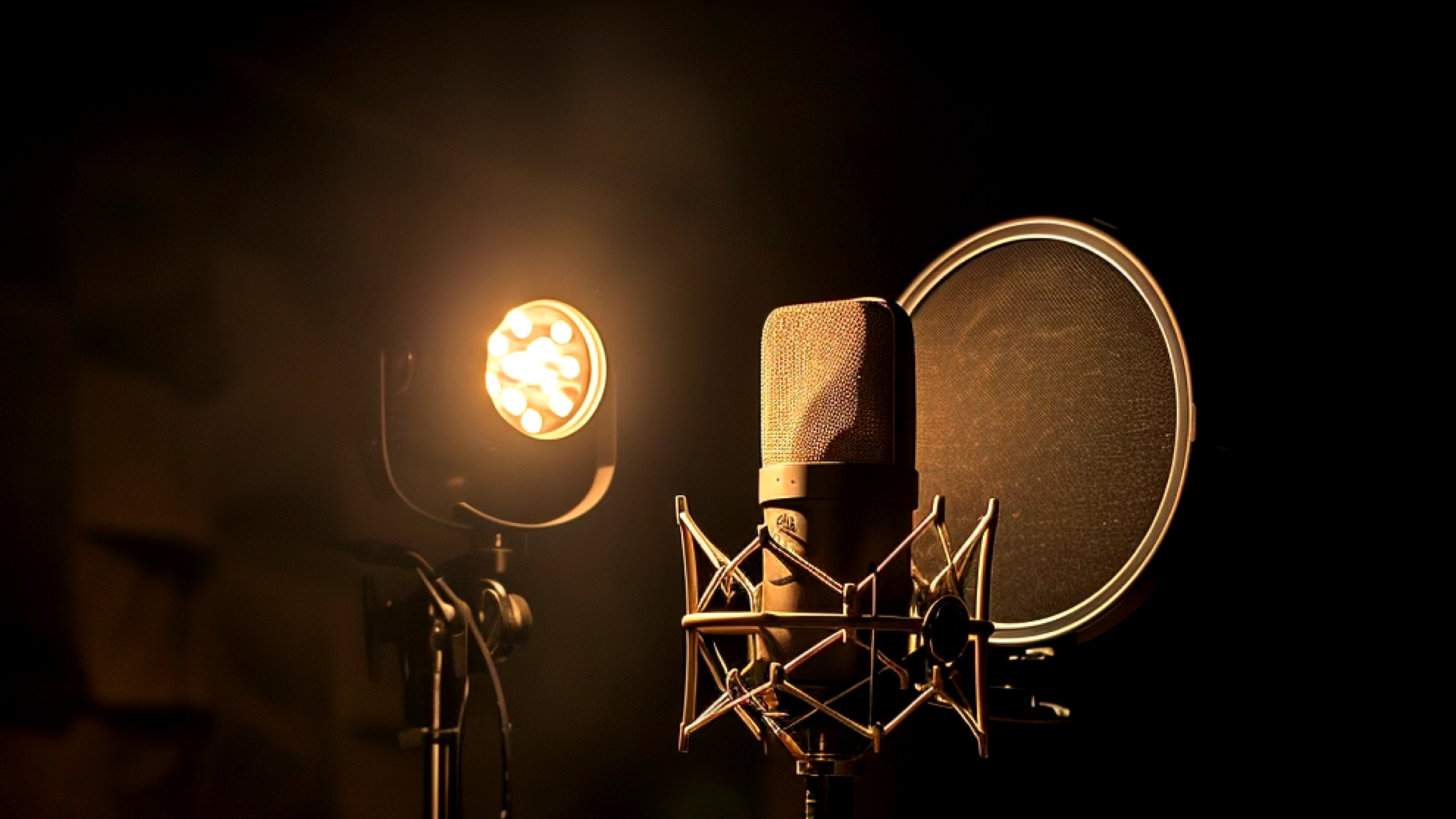 10 of the top places to find voice acting jobs in 2024 | ElevenLabs